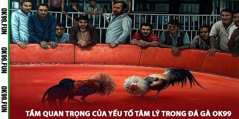 đá gà OK99