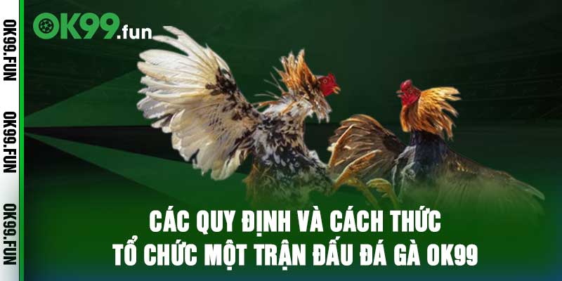 Các quy định và cách thức tổ chức một trận đấu đá gà OK99