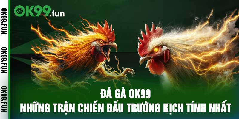 Đá Gà OK99 - Những Trận Chiến Đấu Trường Kịch Tính Nhất