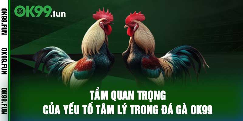 Tầm quan trọng của yếu tố tâm lý trong đá gà OK99